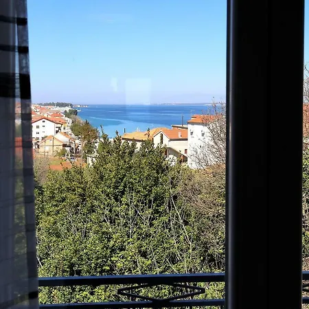 Appartement Mimoza *