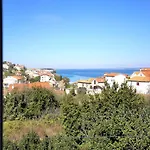 Mimoza *